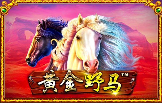 金沙娱场官方app
